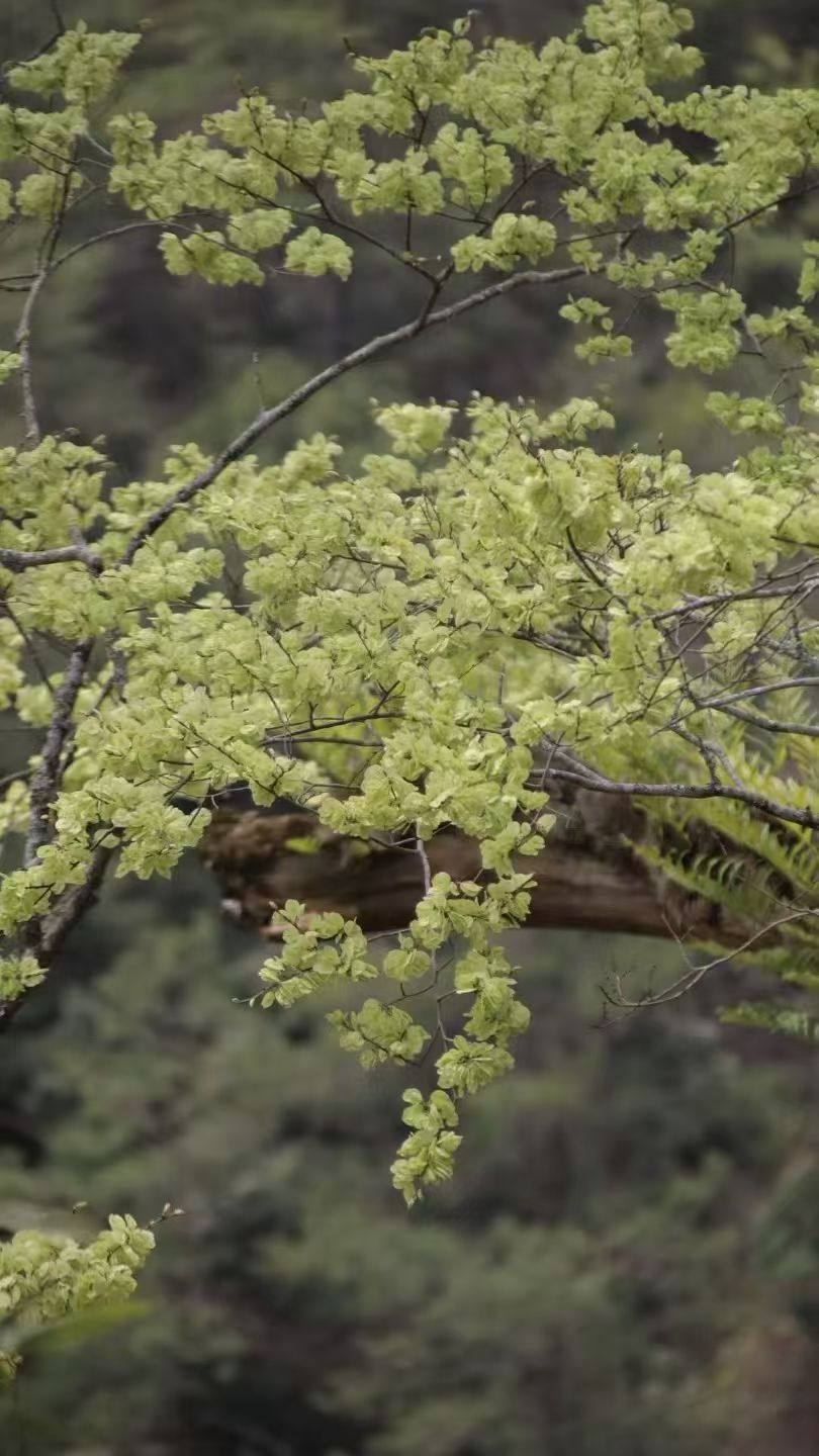 yth2206游艇会·(中国区)官方网站